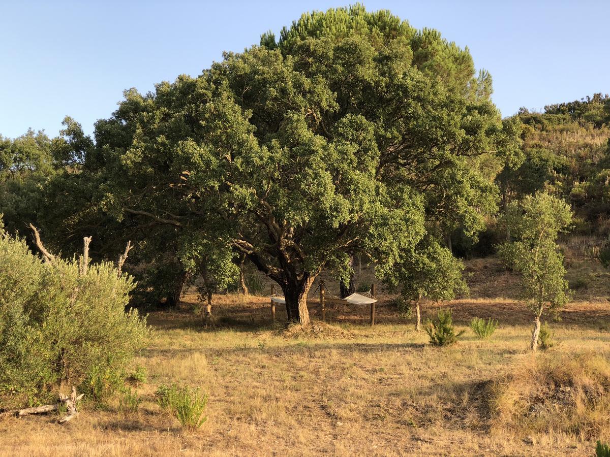 Halma - Nature & Sea Σετούμπαλ Εξωτερικό φωτογραφία